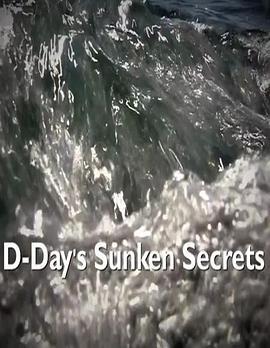 D-Day'ssunkensecrets