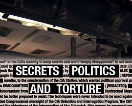 机密，政治和酷刑