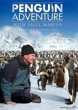 PenguinWeekwithNigelMarven