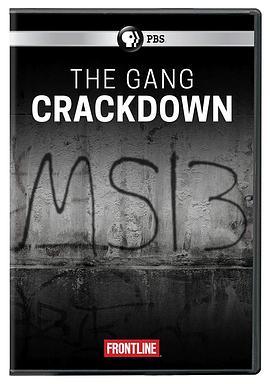 TheGangCrackdown